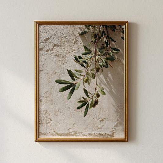 Mediterranean Olive Branch Botanical Print – Minimalist Greenery Wall Art (Digital Download)