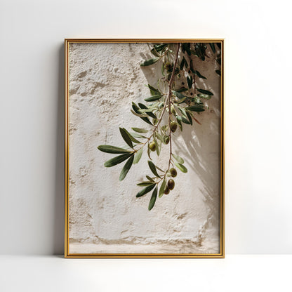 Mediterranean Olive Branch Botanical Print – Minimalist Greenery Wall Art (Digital Download)